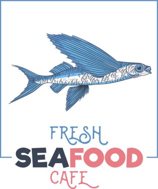 Exocoetidae veya Uçan balık el çizimi