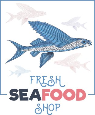 Exocoetidae veya Uçan balık el çizimi