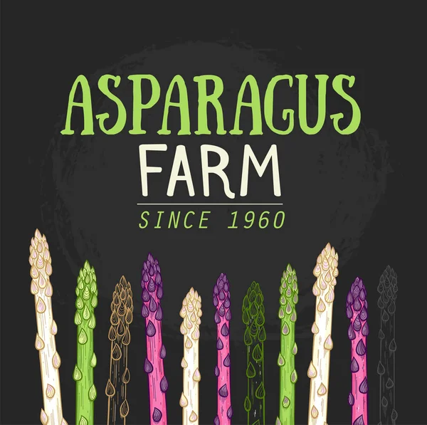 オーガニックアスパラガス農場手描き — ストックベクタ