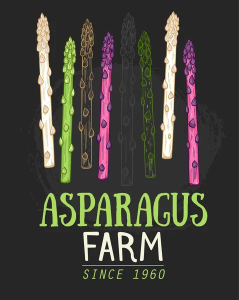 オーガニックアスパラガス農場手描き — ストックベクタ
