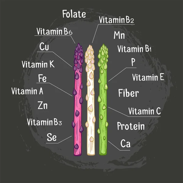 Espárragos ecológicos con micronutrientes extraídos a mano — Vector de stock