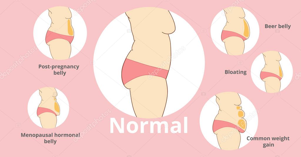 Types of female tummies banner