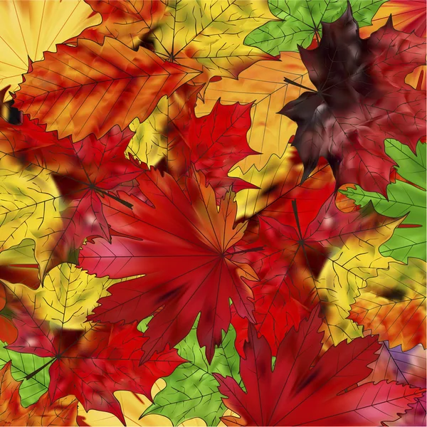 Bruin, rood en geel blad — Stockvector
