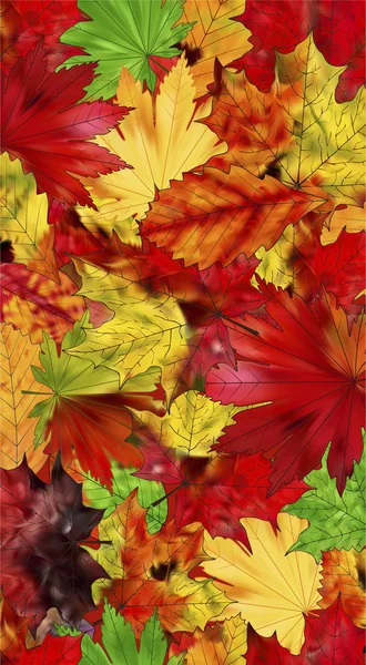 Bruin, rood en geel blad — Stockvector