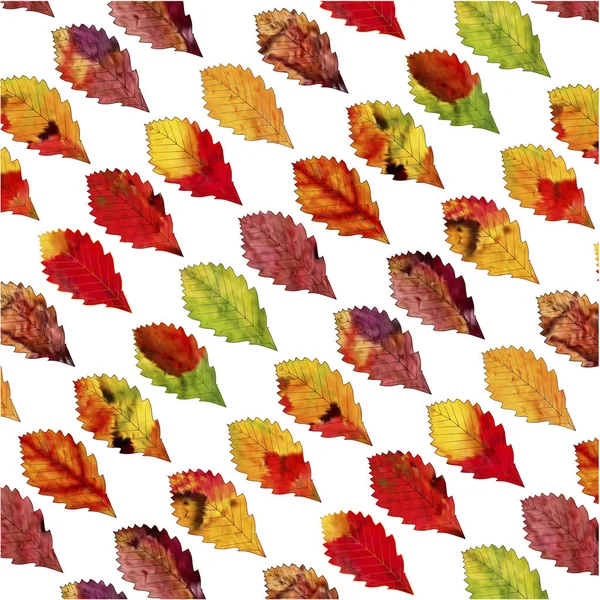 Коричневий, червоний і жовтий листя — стоковий вектор