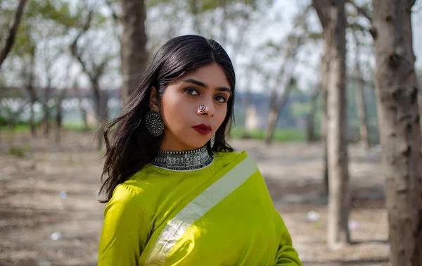 Piękny Indyjski Młody Model Zielonym Tradycyjnym Sari Stojący Przed Krajobrazem — Zdjęcie stockowe