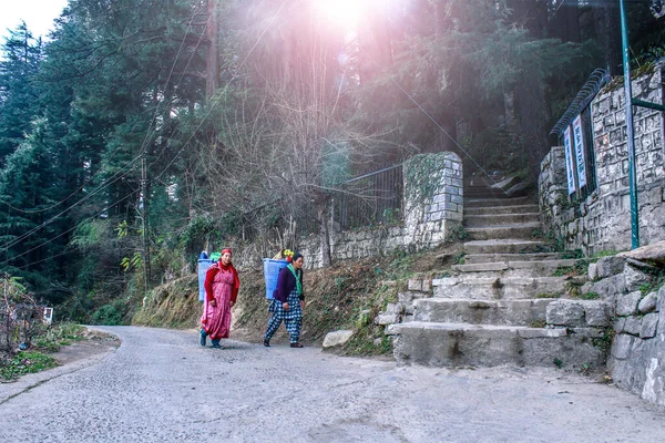 Manali Himachal Pradesh Hindistan Haziran 2020 Dağda Yük Taşıyan Iki — Stok fotoğraf