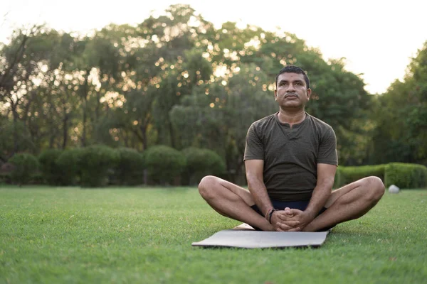 Uluslararası Yoga Günü Nde Ağaçlarla Kaplı Bir Parkta Yoga Yapan — Stok fotoğraf