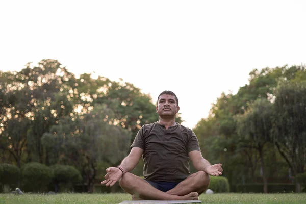 Hombre Mediana Edad Haciendo Yoga Parque Cubierto Árboles Día Internacional — Foto de Stock
