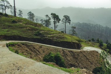 Dağlardaki kayalık bir patikanın manzarası ağaçlarla kaplı, sonbahar rengi.