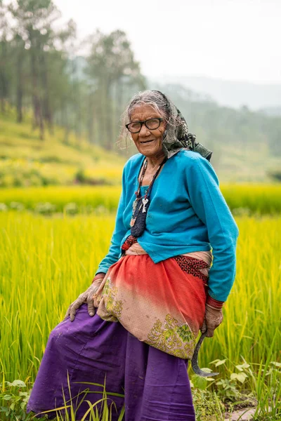 Egy Idős Indián Portréja Aki Egy Zöld Mezőn Áll Masszív — Stock Fotó