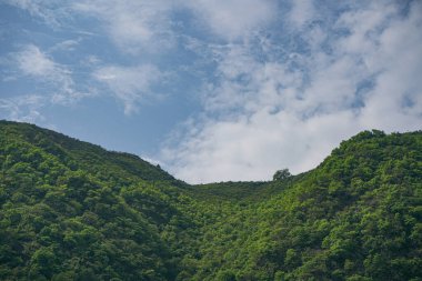 Bulutlarla kaplı yeşil bir dağ vadisi manzarası.