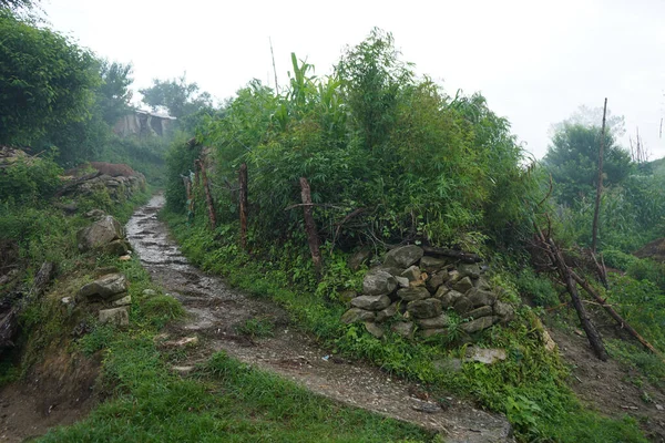 Sentier Cimenté Dans Les Montagnes Qui Mène Nulle Part — Photo