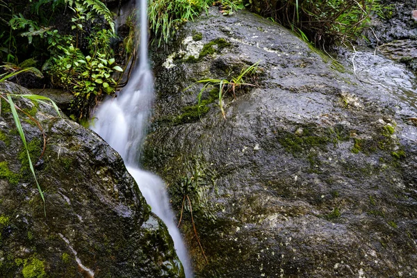 Langsame Verriegelung Des Wassers Das Durch Felsen Mit Natürlicher Vegetation — Stockfoto