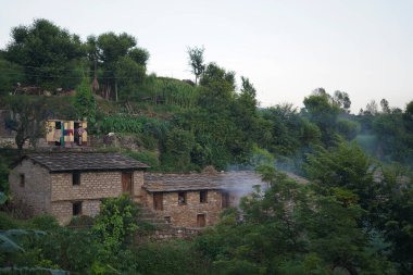 Akşam yakalanan yeşil ağaçlarla kaplı bir köyün manzarası..