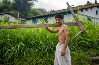 Mutlu Hintli çiftçi pirinç tarlasında ahşap sabanla dikiliyor.