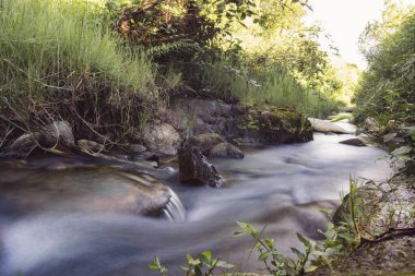 Yeşil bitkilerle çevrili bir nehrin yavaş gölgelik fotoğrafı.