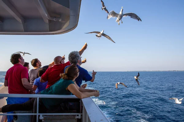 Thassos / Yunanistan - 10.28.2015: Bir ada feribotunun güvertesinden martıları beslemeye çalışan insanlar, krakeri yakalayan martı, arka planda mavi sakin deniz, Thassos Adası, Yunanistan