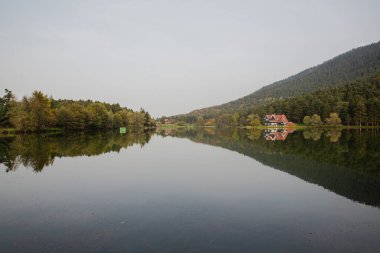 İlkbaharda dağların ve ağaçların yansıdığı güzel bir manzara. Sakin bir göle yansıyan bir ayna gibi. Abant Gölü 'nün yansıması.
