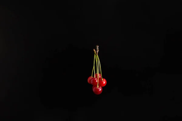 Nesten Bilde Rød Skinnende Moden Kirsebærklynge Isolert Svart Bakgrunn Med – stockfoto