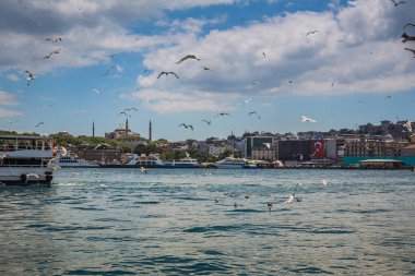 Arka planda Altın Boynuz (Haliç), feribot, tekne ve Ayasofya Camii üzerinde uçan martılar sürüsü, İstanbul, Türkiye