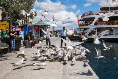 ISTANBUL / TURKEY - 07.17.2020: Türk halkı Karaköy 'de bir martı sürüsünü besliyor