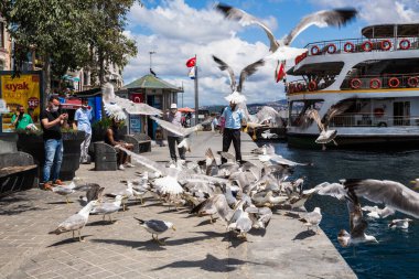 ISTANBUL / TURKEY - 07.17.2020: Türk halkı Karaköy 'de bir martı sürüsünü besliyor