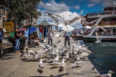 ISTANBUL / TURKEY - 07.17.2020: Türk halkı Karaköy 'de bir martı sürüsünü besliyor