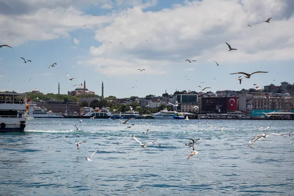 ISTANBUL / TURKEY - 07.17.2020: Arka planda Altın Boynuz (Haliç), feribot, tekne ve Ayasofya Camii üzerinde uçan bir martı sürüsü