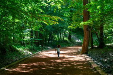 Küçük çocuk, sonbaharda Belgrad Ormanı, İstanbul, Türkiye 'de ormanda bir sopa taşıyor.