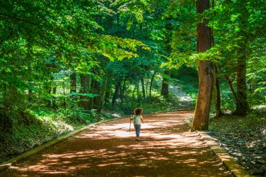 Küçük çocuk, sonbaharda Belgrad Ormanı, İstanbul, Türkiye 'de ormanda bir sopa taşıyor.