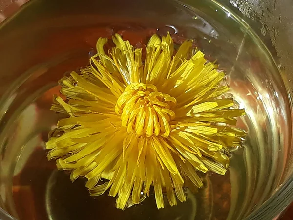 Chá Dente Leão Amarelo Verão — Fotografia de Stock