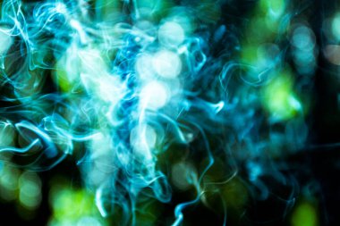 Ormanda, güneşte duman.