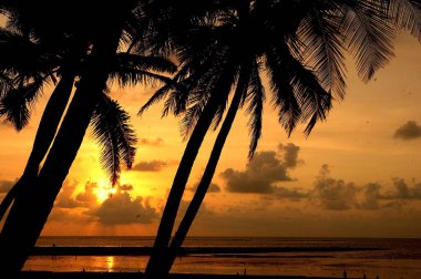 Günbatımı Turuncu Renkli Gökyüzü