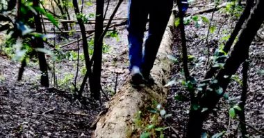 Ormanda uzanan ağaçta yürüyen bir adam