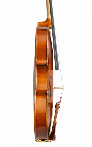 白色背景的小调小提琴 — 图库照片