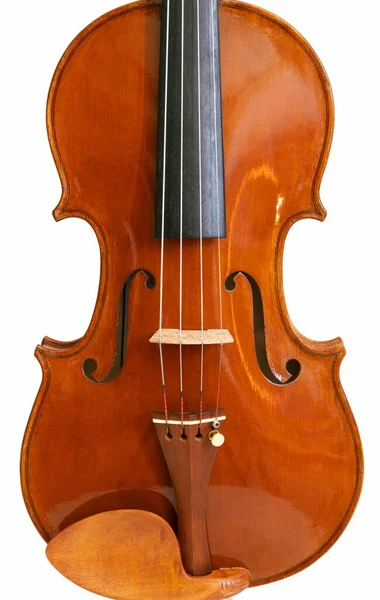 Violin Framifrån Vit Bakgrund — Stockfoto