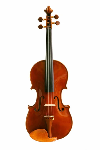 从正面看白色背景的小提琴 — 图库照片