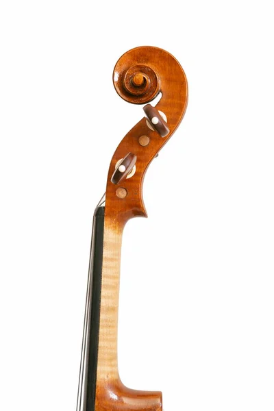 Violin Headstock White Background — Stock Photo, Image