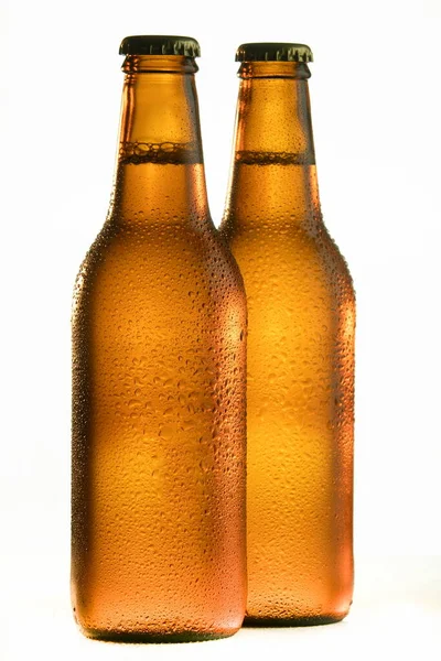 Cervejas Geladas Com Fundo Branco — Fotografia de Stock