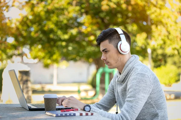 Genç adam parkta maskesiz kulaklıkla müzik dinlerken bilgisayarla çalışıyor.