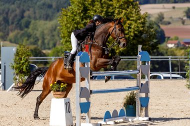 Kueps / Almanya Eylül 2019 Şoför engeli aştı. Kueps 'te düzenlenen binicilik turnuvasının sezon finali, Eylül 2019.