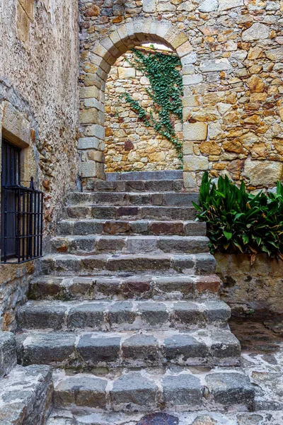 Замок Палс Лестница Ведущая Через Арку Центр Замка Палс Испания — стоковое фото