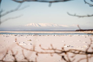 Anchorage, Alaska 'daki Tony Knowles Coastal Trail' i takip ederken karlı bir dağın güzel kış manzarası ve Deprem Parkı 'ndan alınan donmuş Knik Kol. Karla kaplı. Dalların çerçevesi. Woronzof Park 'a yakın.. 