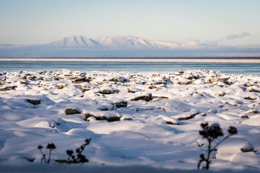 Anchorage, Alaska 'daki Tony Knowles Coastal Trail' i takip ederken karlı bir dağın güzel kış manzarası ve Deprem Parkı 'ndan alınan donmuş Knik Kol. Karla kaplı. Buz kütleleri eriyor. Woronzof Park 'a yakın.. 