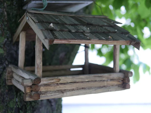 Casa Pássaros Casa Pássaros Alimentador Pássaros Casa Madeira Para Pássaros — Fotografia de Stock