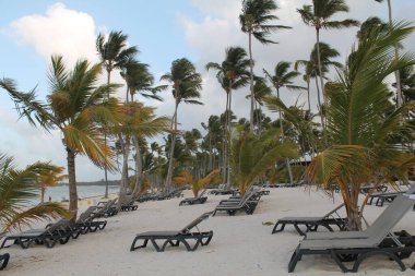 Dominicana. Dominik Cumhuriyeti Kültürü. Dominik Cumhuriyeti 'nin manzarası ve doğası.