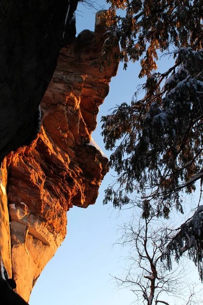 Inverno Russia Foresta Alberi Montagne Neve Sentiero Freddo Creek Alberi — Foto Stock