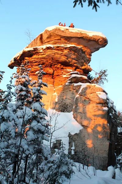 Inverno Russia Foresta Alberi Montagne Neve Sentiero Freddo Creek Alberi — Foto Stock