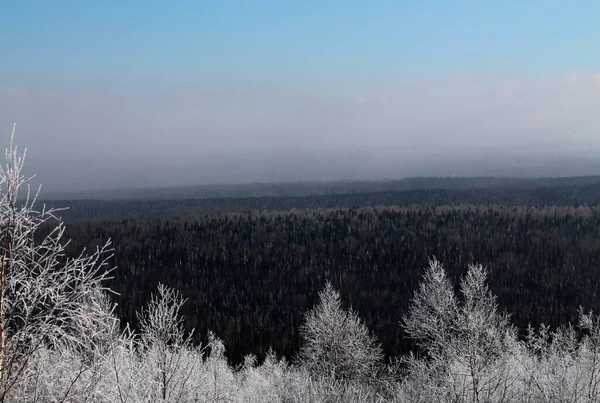 Inverno Rússia Floresta Árvores Montanhas Snow Cold Path Creek Árvores — Fotografia de Stock